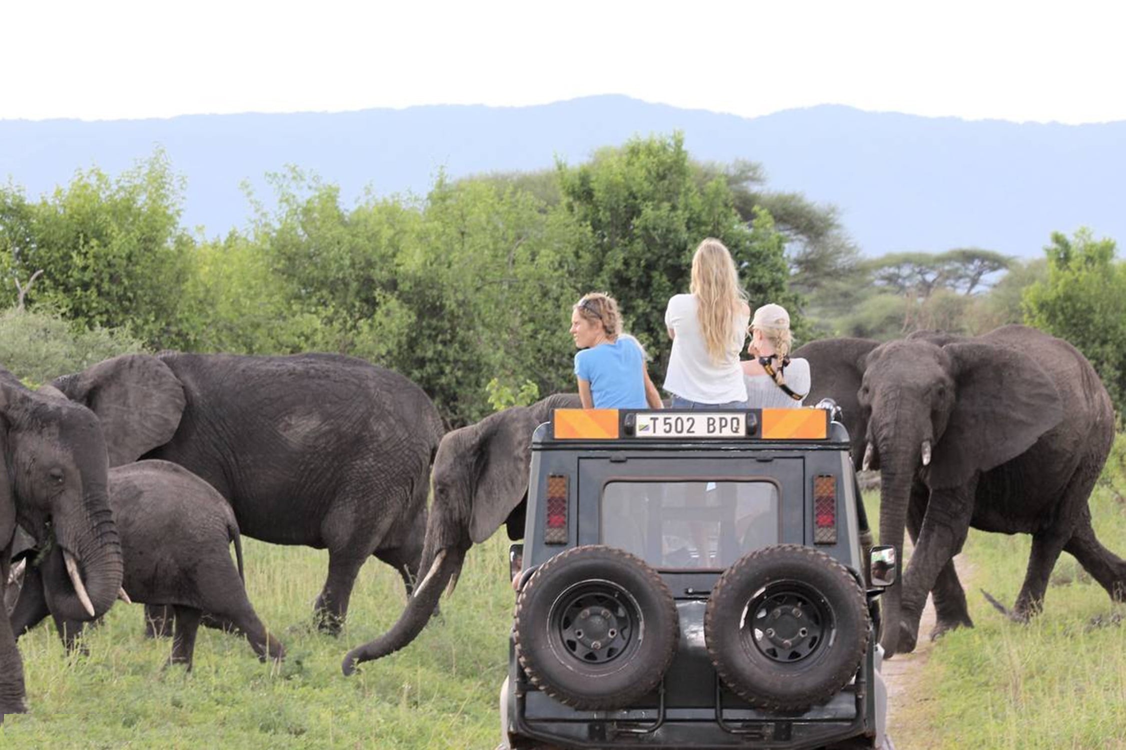 Lake Manyara wildlife