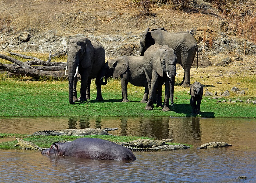 Ngorongoro scenery